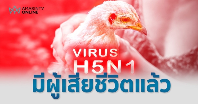 ไข้หวัดนก H5N1 ระบาดในกัมพูชา มีผู้เสียชีวิตแล้ว ไทยต้องเตรียมรับมือแล้วหรือไม่ ชายแดนติดกัน ?