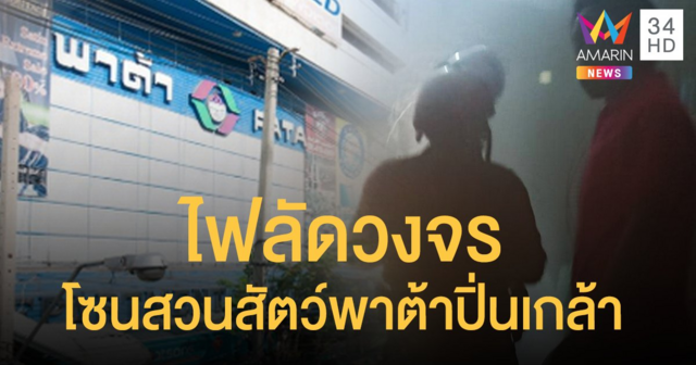 ไฟลัดวงจร โซนสวนสัตว์พาต้าปิ่นเกล้า