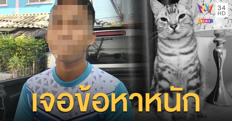 เจ้าของแมว "เจ้าสัว" แจ้งข้อหาหนัก จนท.กู้ภัย เจองานใหญ่ ต้องคดี-โดนพักงาน