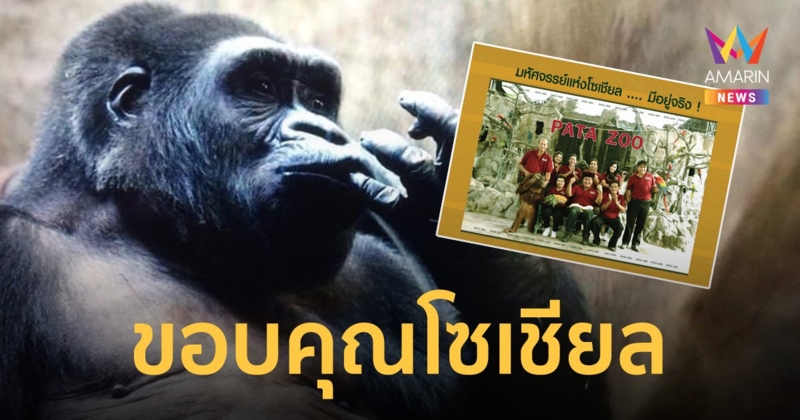 สวนสัตว์พาต้า โพสต์ขอบคุณพลังโซเชียล ทำคนกลับมาเที่ยวจนคึกคักอีกครั้งในรอบ 20 ปี