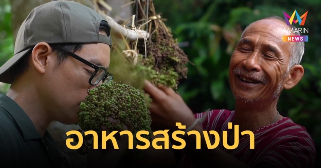 อาหารนำทาง : อาหารสร้างป่า