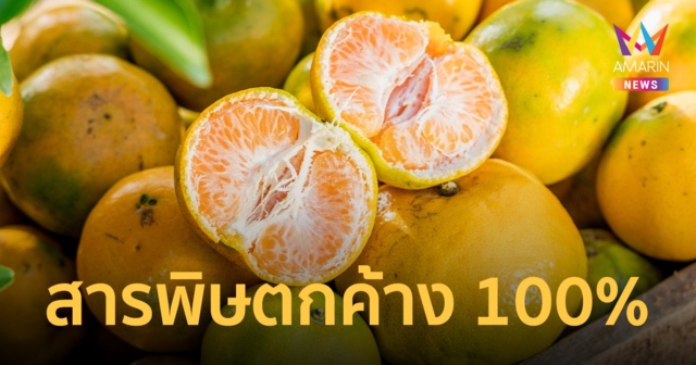 ส้ม ในท้องตลาดที่ปลูกในประเทศตรวจพบสารพิษตกค้าง 100%