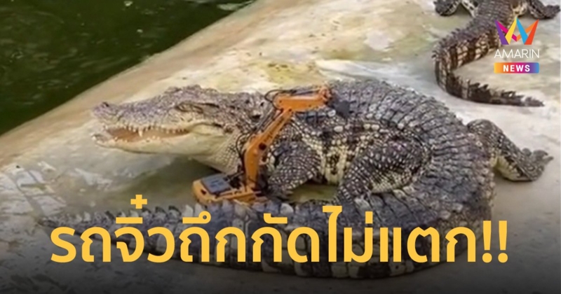 ประเดิม แบคโฮคันจิ๋ว ตัก น้องเข้กลางบ่อ งานนี้จะรอดหรือเหลือแต่ซาก!