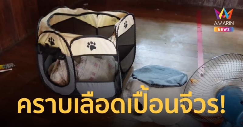 จับพระโหด เปิดรับเลี้ยงแมวผ่านเฟซบุ๊ก ที่แท้เอามาทรมานก่อนฆ่าแล้วเผา