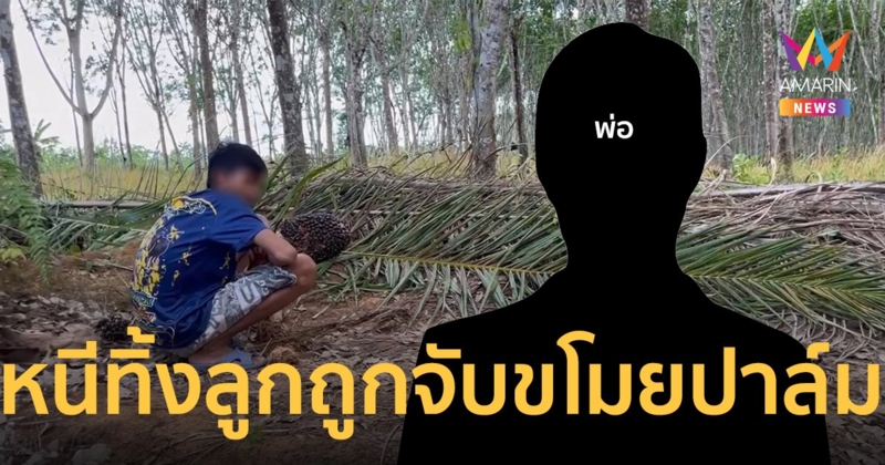 หนูคิดถึงพ่อ สองพ่อลูกย่องขโมยปาล์มถูกจับได้ พ่อเผ่นทิ้งลูกชายรับเคราะห์