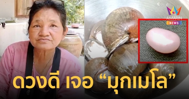 สาวใหญ่ ดวงดี พบ “มุกเมโล” ในหอยเชอรี่ เชื่อให้ โชคลาภถูก หวยหลายงวด