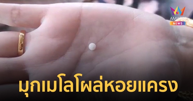 ช้างเอราวัณบันดาลโชค แม่ค้าทุเรียนโคราชกลับจากไหว้ขอพร เจอ 