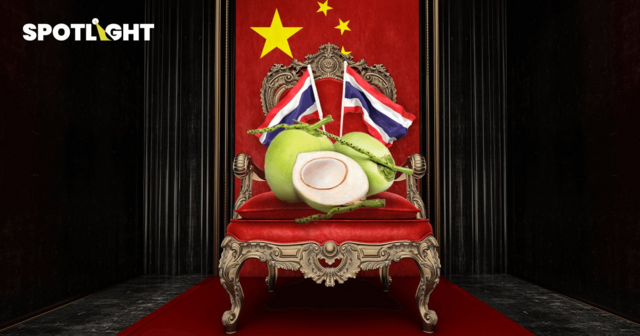 มะพร้าวไทยในตลาดจีน กับโอกาสที่อนาคตอาจมีมูลค่ากว่า 9.45 หมื่นล้านบาท