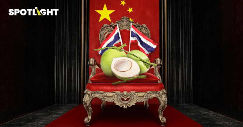 มะพร้าวไทยในตลาดจีน กับโอกาสที่อนาคตอาจมีมูลค่ากว่า 9.45 หมื่นล้านบาท