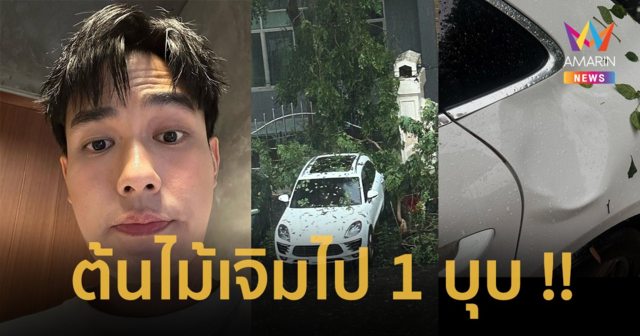 “หน่อง ธนา” บอกเลขทะเบียนชัดๆ คนแห่ขอเลขเด็ด หลังจอดรถอยู่ดีๆ ต้นไม้ล้มใส่