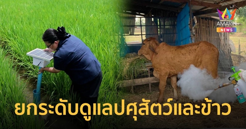 "ไชยา" รมช.เกษตรฯ เตรียมยกระดับหน่วยงานที่ดูแลทั้งด้านปศุสัตว์และข้าว