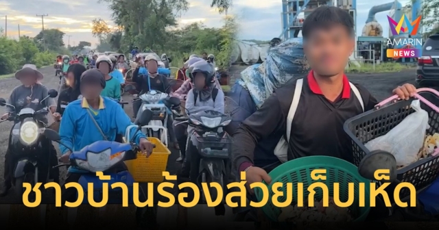 ดรามา!ส่วยเก็บเห็ด ชาวบ้านงงแบบนี้ก็ได้เหรอ