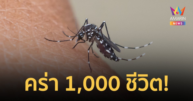 ไข้เลือดออกระบาดหนักในบังกลาเทศ เสียชีวิตแล้วเกือบ 1,000 คน