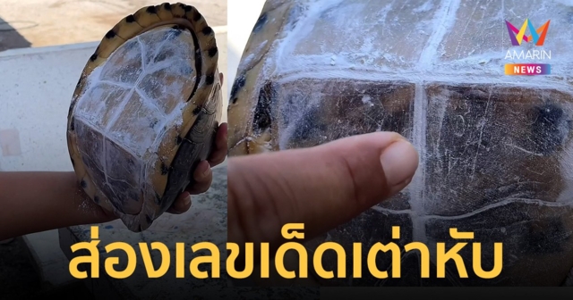 คอหวยฮือฮา 