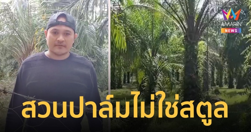 ชาวสวนเกษตร มั่นใจคลิป เสี่ยแป้ง นาโหนด ถ่ายในสวนปาล์มไม่ใช่สตูล