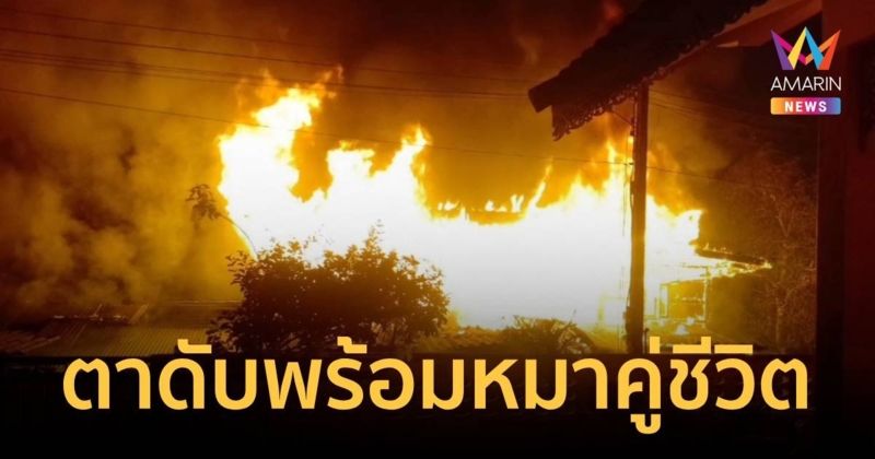 เพลิงไหม้บ้านวอดทั้งหลัง ตาวัย 96 ถูกย่างสดดับพร้อมสุนัขคู่ชีวิต