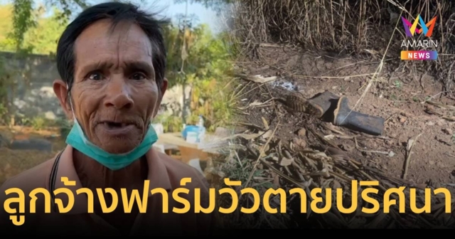 ญาติคาใจหนุ่มลูกจ้างฟาร์มวัวหายตัวปริศนา พบกลายเป็นศพถูกยิงทะลุหัวใจ