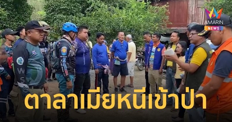 ทหาร-กู้ภัยพัทลุง ปูพรมค้นหาตาวัย 72 ปี เขียนจดหมายลาเมีย ก่อนเดินเข้าป่า