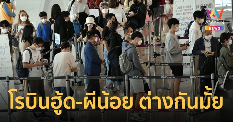 โรบินฮู้ด คืออะไร ต่างจาก ผีน้อยในเกาหลี ตรงไหน