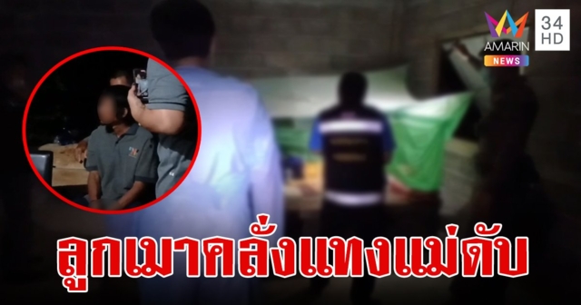 โหดเหี้ยม!ลูกเมาคลั่งควงมีดแทงแม่ป่วยเดินไม่ได้ดับสลดคาที่นอน