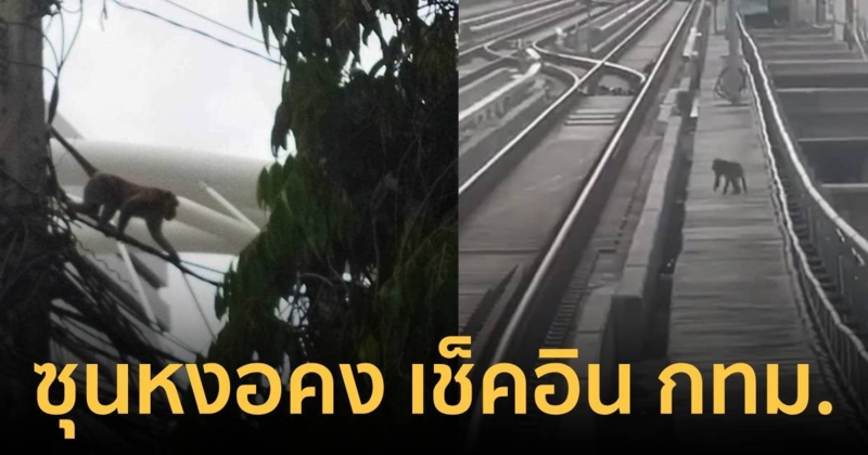 "ซุนหงอคง" เช็คอิน กทม. ผจญภัยไต่สายไฟ-วิ่งในราง ชาวเน็ตงงมาจากไหน?