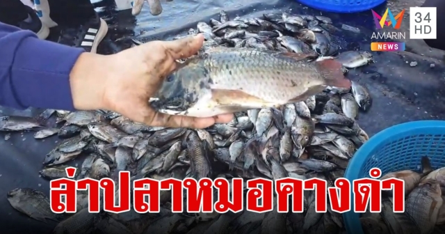 ล่า 