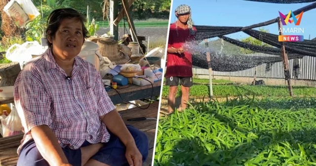 ไอเดียดี ต่อยอดเงินหมื่นปลูกผักบุ้งขายรายได้งามทั้งปี