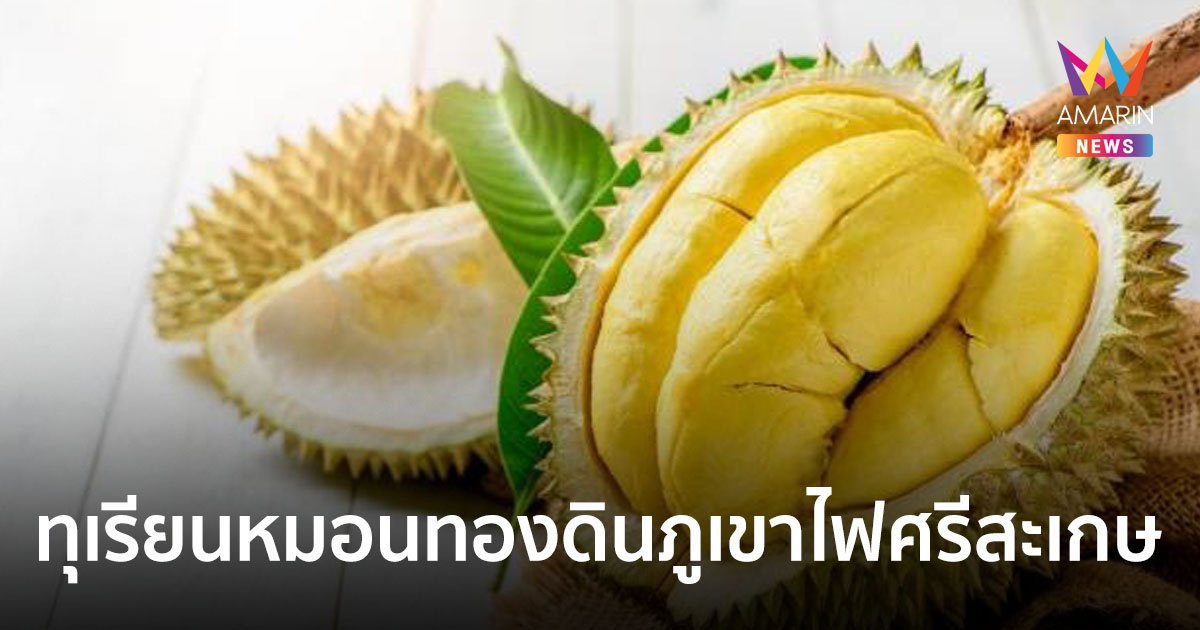 ไปรษณีย์ไทย เปิดจำหน่าย “ทุเรียนหมอนทองดินภูเขาไฟศรีสะเกษ” ลูกใหญ่-เนื้อแน่น