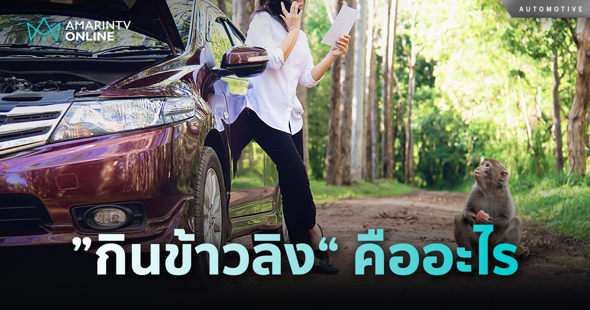 ศัพท์ที่กลุ่มคนใช้รถเค้าเรียกกัน เปิดที่มา “กินข้าวลิง” หมายถึงอะไร