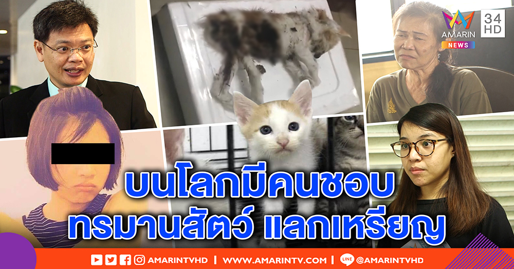 สยอง! ดีเจสาวต้องสงสัยควักไส้แมว กรีดแขน ลอกกล้ามเนื้อ - "โกเมน" ชี้ พวกซาดิสม์ ยังมีบนโลก (คลิป)