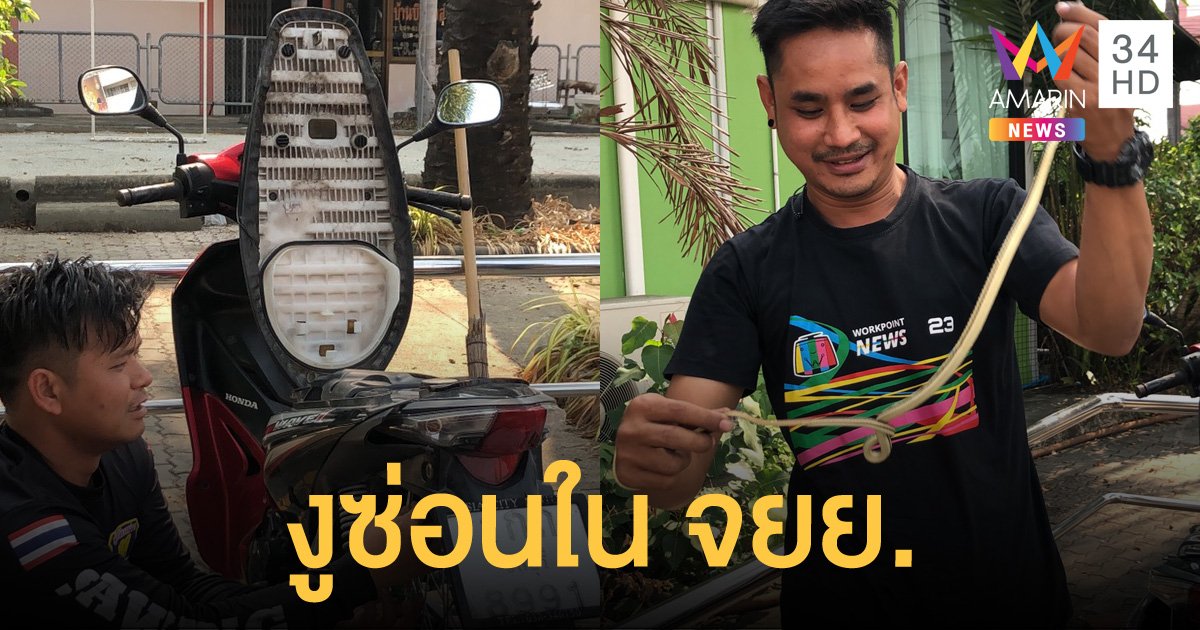 สาวกรี๊ดลั่นโรงพัก! เจองูโผล่ออกมาจากมอเตอร์ไซค์ คอหวยแห่ส่องทะเบียน