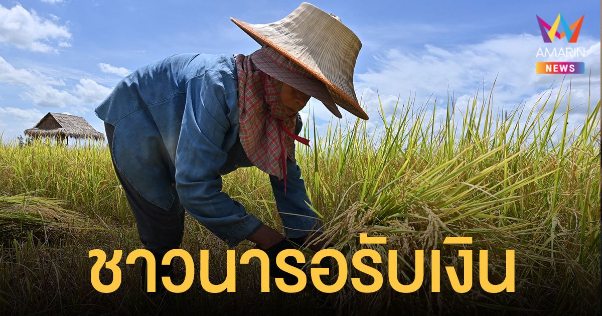 เงินประกันรายได้ข้าว เข้าบัญชีชาวนาวันนี้ (9 ธ.ค.) 7.7 แสนราย เช็กช่องทางตรวจสอบสิทธิ