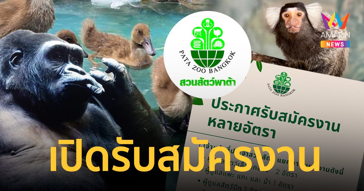 ไม่เลือกงานไม่ยากจน “สวนสัตว์พาต้า” เปิดรับสมัครงานหลายตำแหน่ง