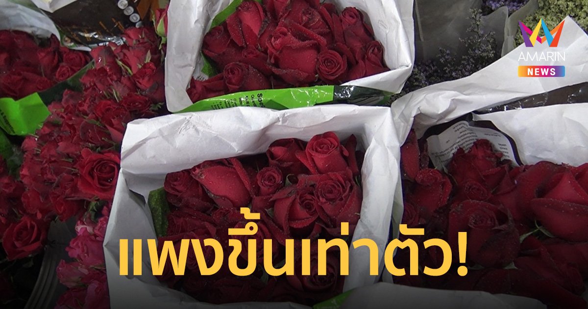 กุหลาบแพง 2 เท่า รับวาเลนไทน์ เพราะภาคเหนือหนาวมาก ทำดอกไม้ไม่ออกดอก