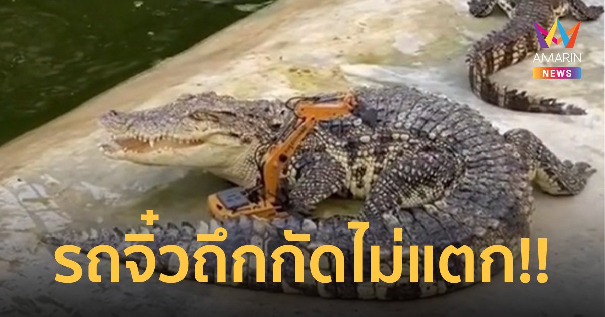 ประเดิม แบคโฮคันจิ๋ว ตัก น้องเข้กลางบ่อ งานนี้จะรอดหรือเหลือแต่ซาก!