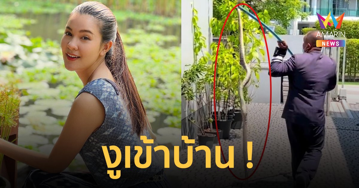 "เปาวลี" ให้เลขที่บ้านชัดๆ ! หลังงูตัวใหญ่เข้าบ้าน คอหวยลุ้นงวดนี้รวย