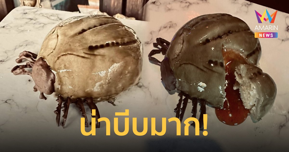 กล้าลองไหม! ลูกค้าขอ 'เค้ก เห็บหมา' ร้านก็จัดให้ทำออกมาเหมือนจนขนลุก