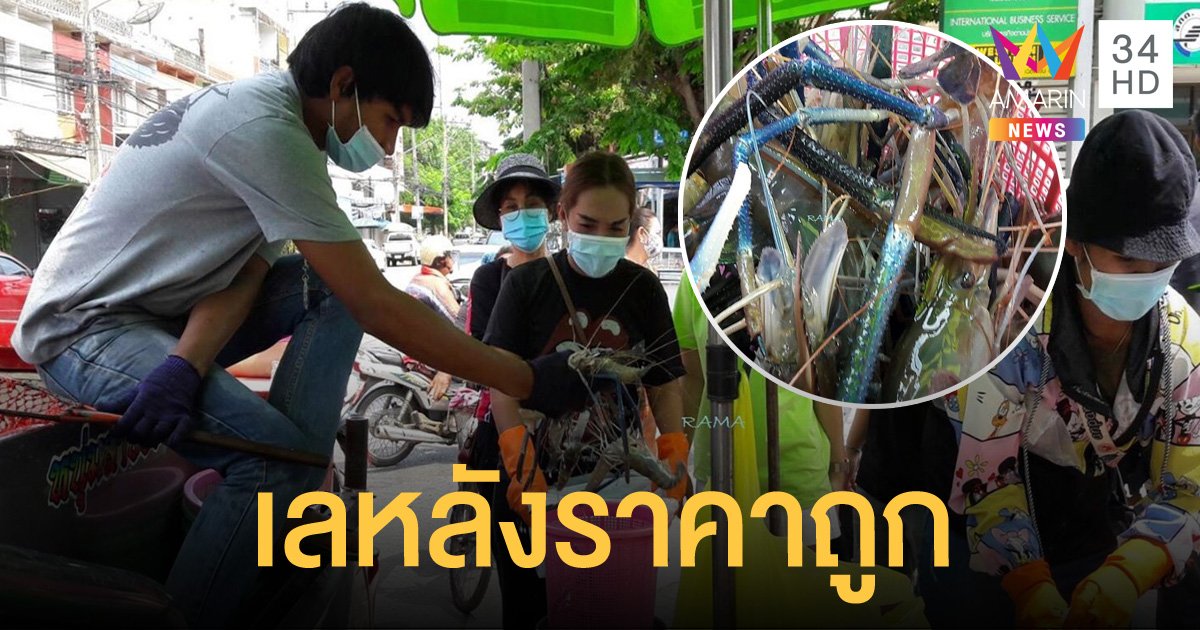 พิษโควิดทำกุ้งขายไม่ออก เกษตรกรราชบุรีเปิดกระบะเลหลังกันถูกๆ