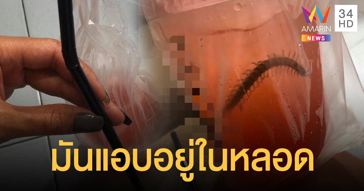 แม่ใจหล่นวูบ เจอ "ตะขาบ" ซุกในหลอด ลูกชาย 4 ขวบหวิดโดนกัด