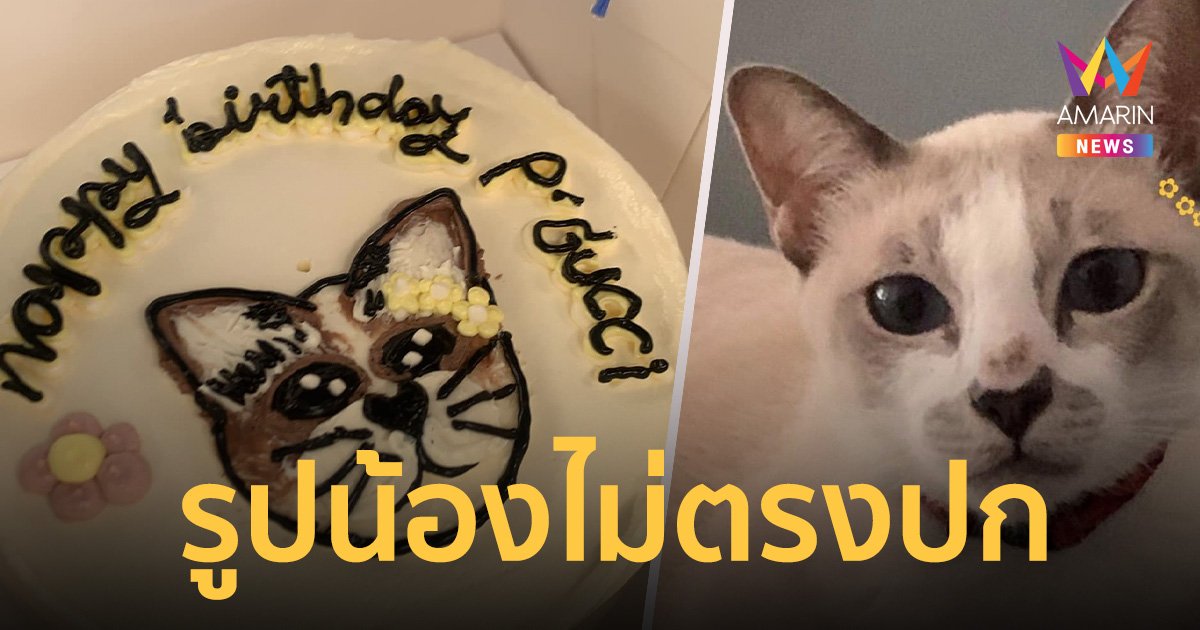 ทาสแมวโวย รูปหน้า เค้กไม่ตรงปก แถมรสชาติไม่อร่อย