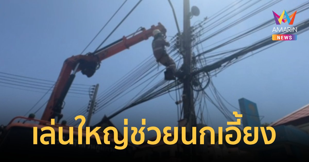 เล่นใหญ่ช่วยนกเอี้ยง