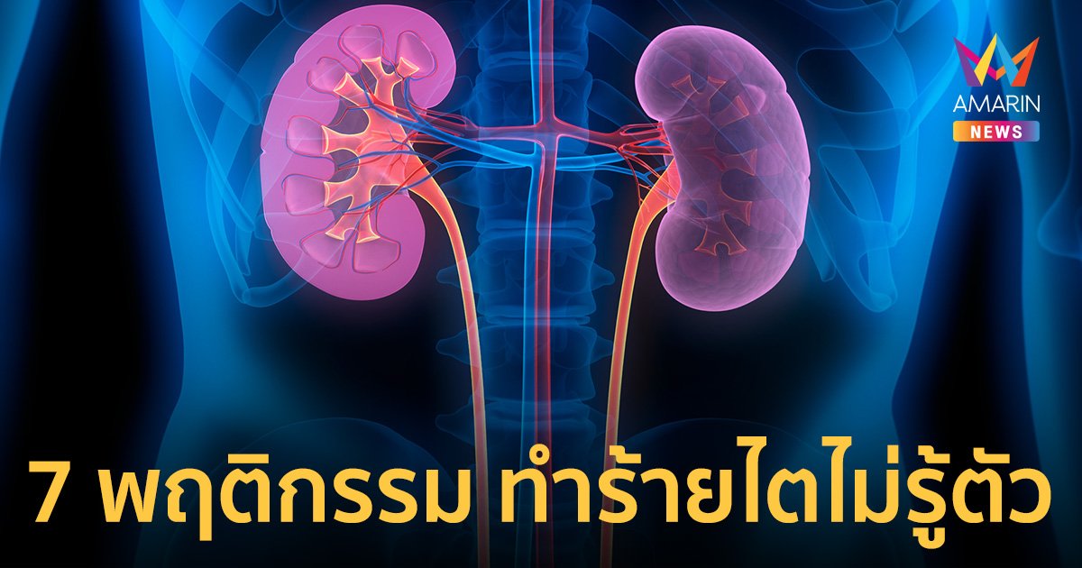 7 พฤติกรรม ทำร้ายไตไม่รู้ตัว เช็กสัญญาณโรค อาการแบบนี้รีบไปพบแพทย์