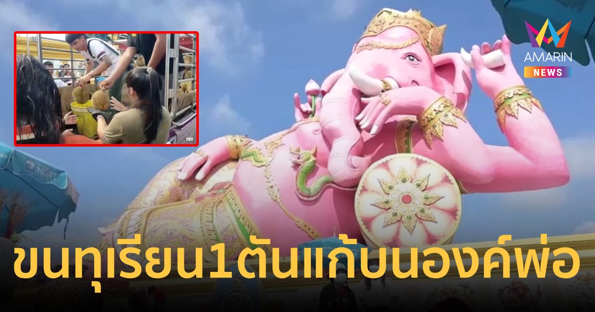 ขนทุเรียน 1 ตัน แก้บนพ่อพระพิฆเนศ พร้อมแจกจ่ายให้ผู้ที่มาไหว้กลับไปทาน
