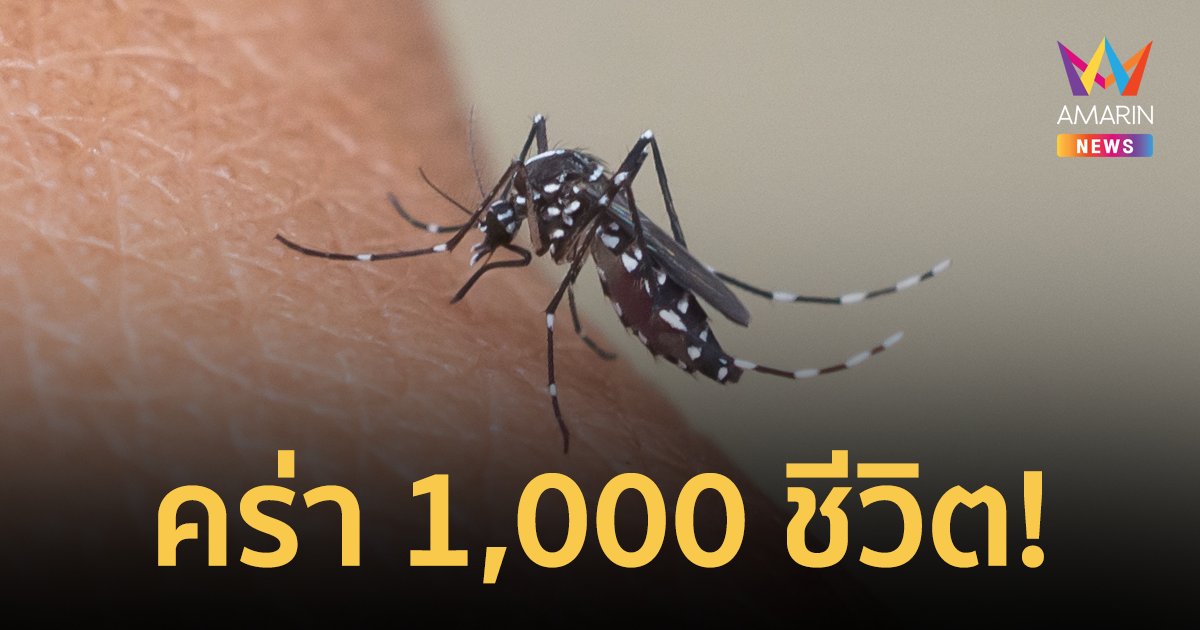 ไข้เลือดออกระบาดหนักในบังกลาเทศ เสียชีวิตแล้วเกือบ 1,000 คน