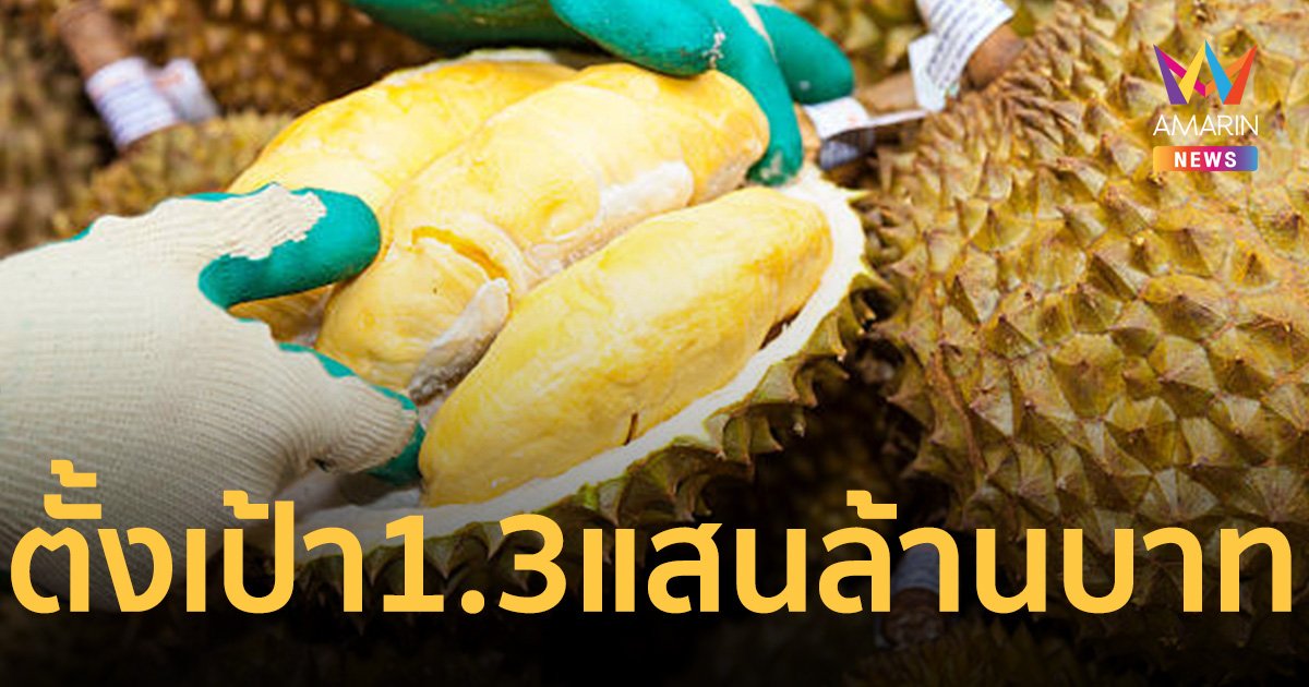 รบ. หนุนส่งออก ทุเรียนไทยไปจีน ตั้งเป้าปีนี้ 1.3 แสนล้านบาท