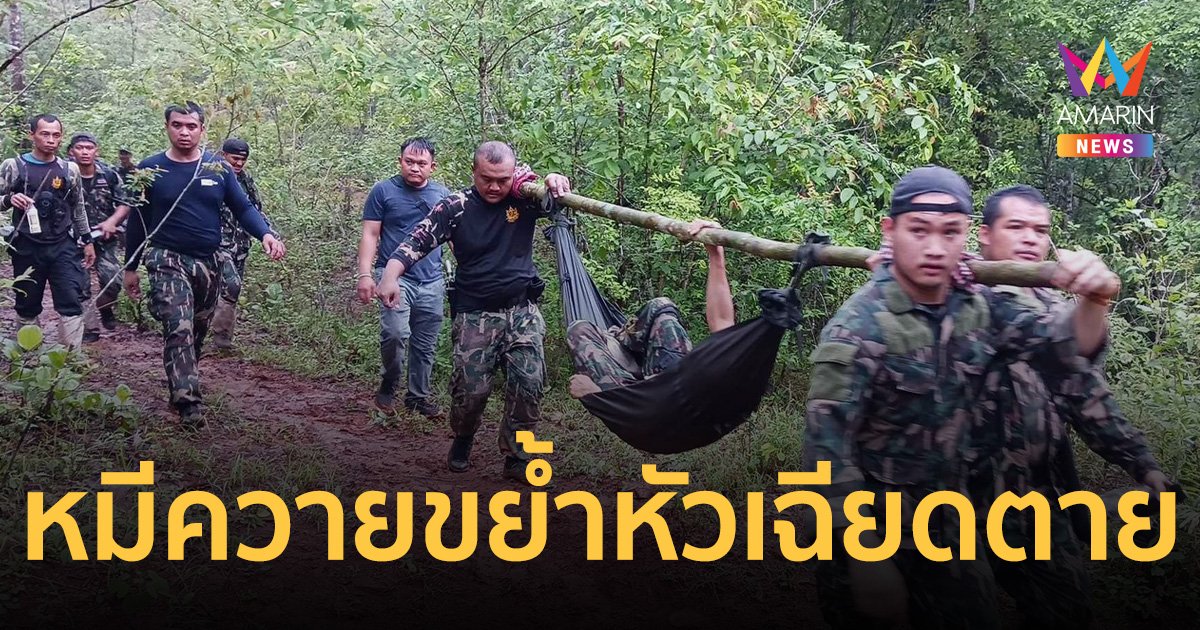 จนท.ป่าไม้ลาดตระเวน ประจันหน้าหมีควาย ตะปบกัดขย้ำหัวเฉียดตาย