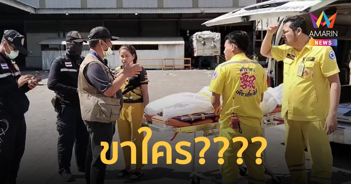 ผวาพบขามนุษย์ สภาพโครงกระดูกติดมากับลังกระดาษอัดแท่งต่างประเทศ