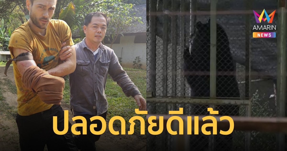 หนุ่มสวิสฯ ถูกหมีควายกัดแขน ปลอดภัยดีแล้ว