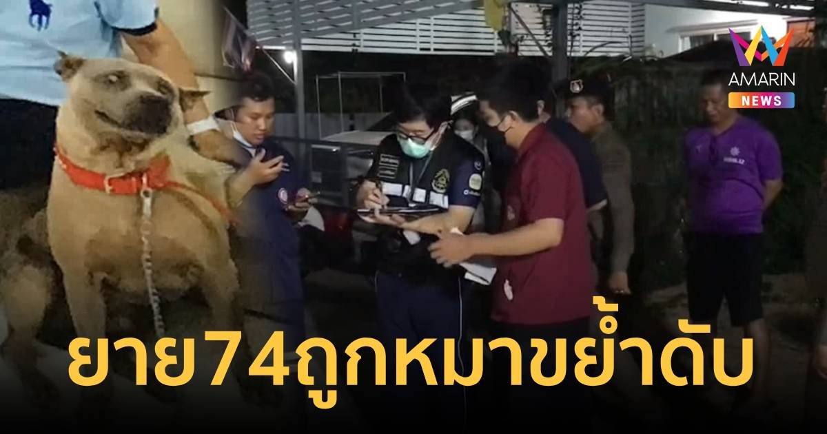 เศร้า คุณยายวัย 74 ป่วยอัลไซเมอร์เข้าบ้านผิด ถูกสุนัขขย้ำดับ