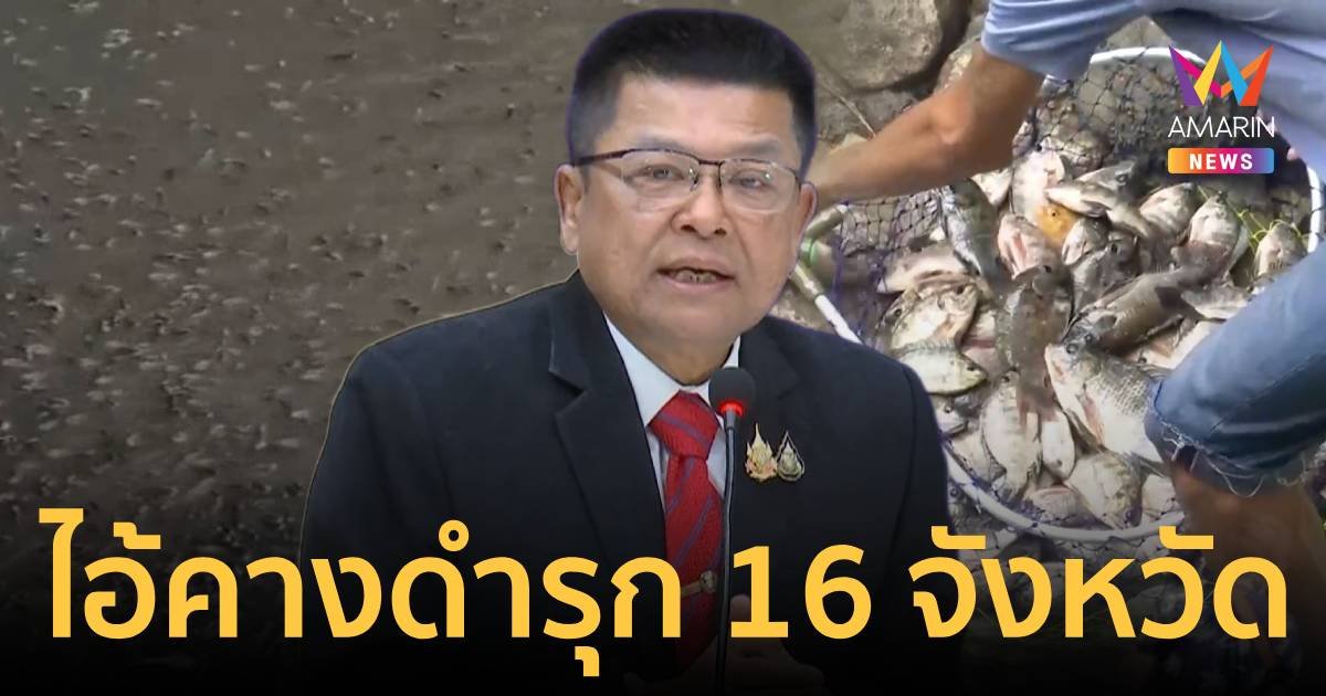 ไอ้คางดำรุกถิ่น 16 จังหวัด เผยไม่ส่งตัวอย่างปลา 50 ตัวให้กรมประมง